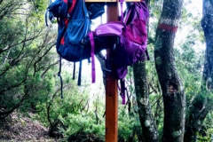 Trekking in Aspromonte - Wandern im Aspromonte