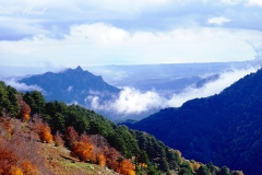 Herbststimmung im Aspromonte