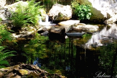 Unerwartet viel Wasser im Aspromonte