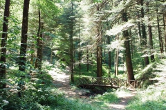 Wanderweg bei Serra San Bruno