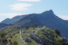 Monte Consolino