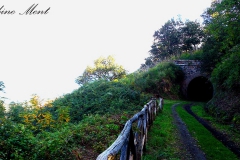 Ferrovia dismessa - Stillgelegte Eisenbahn