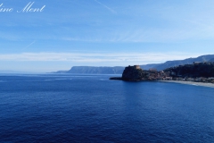 Scilla